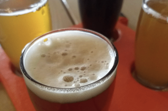 Fort Orange Brewing