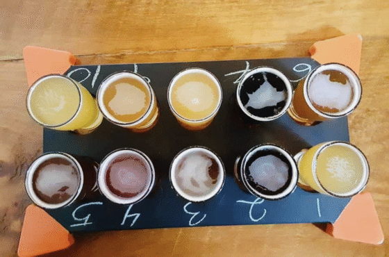 Fort Orange Brewing