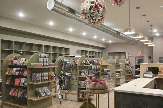 Lilly's Natural Pet Store