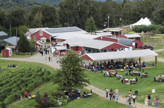 Barton Orchards