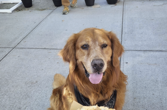 Angie’s Bake Shop & Cafe