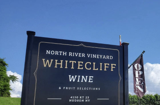Whitecliff Vineyard at Hudson