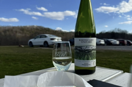 Whitecliff Vineyard at Hudson