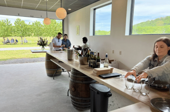 Whitecliff Vineyard at Hudson