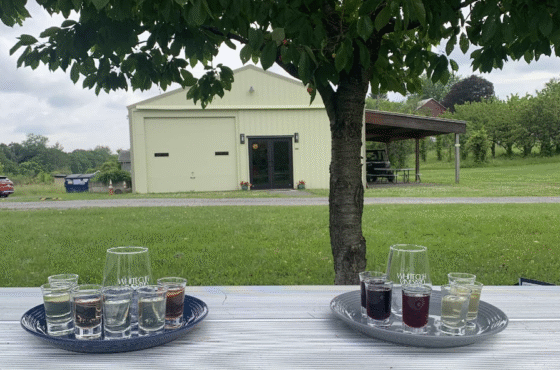 Whitecliff Vineyard at Hudson