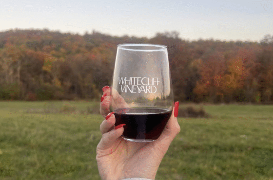 Whitecliff Vineyard at Hudson