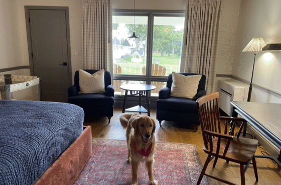 Wylder Hotel Windham