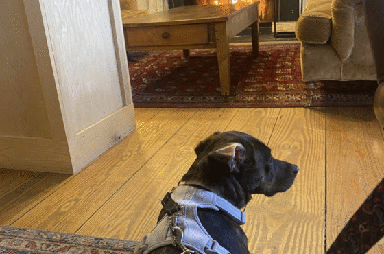 Wylder Hotel Windham