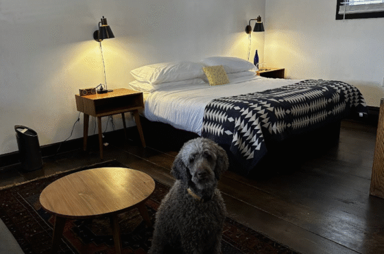 Eastwind Hotel - Windham