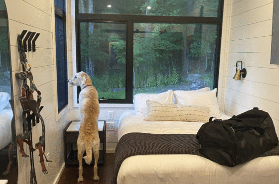 AutoCamp Catskills