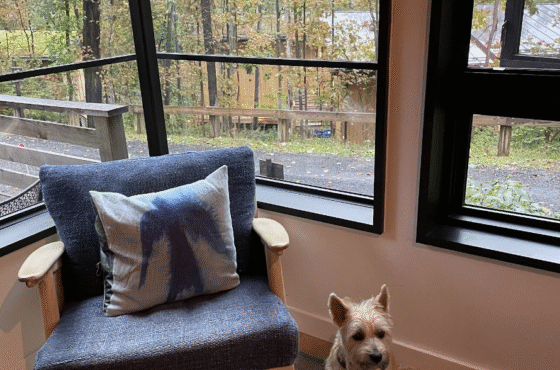 Woodstock Way Hotel
