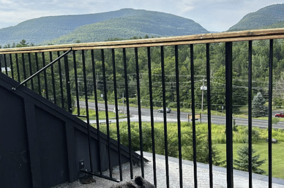 Scribner's Catskill Lodge