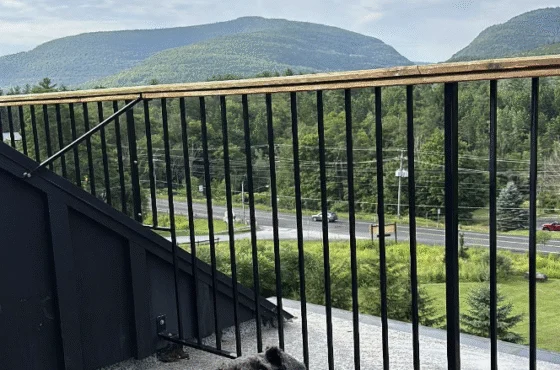 Scribner's Catskill Lodge