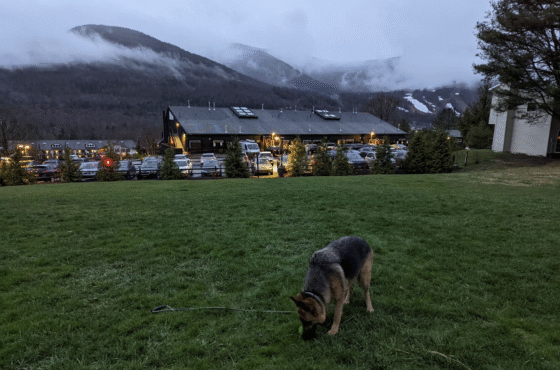 Scribner's Catskill Lodge