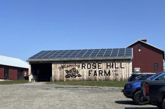 Rose Hill Farm