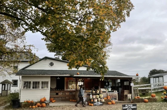 Rose Hill Farm