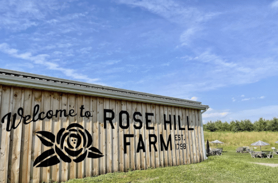 Rose Hill Farm
