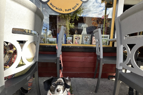 Fetch Bar & Grill
