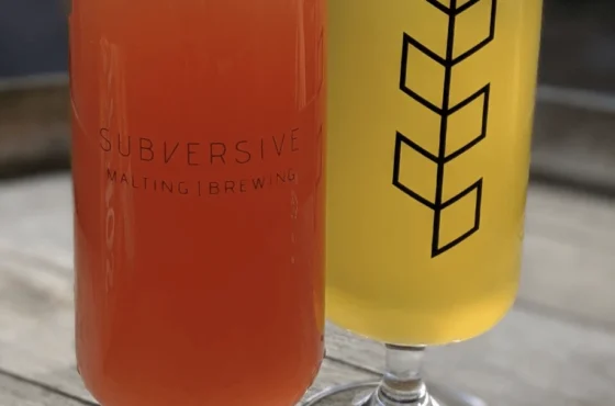 Subversive Malting & Brewing