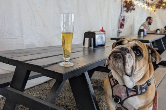 Subversive Malting & Brewing