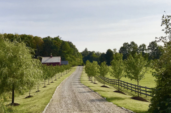 June Farms