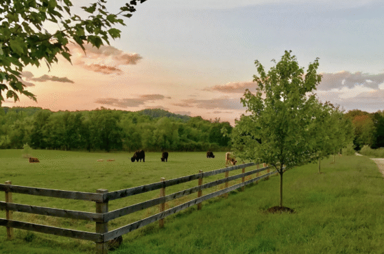 June Farms