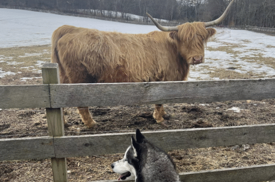 June Farms