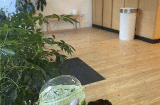Matcha Thomas
