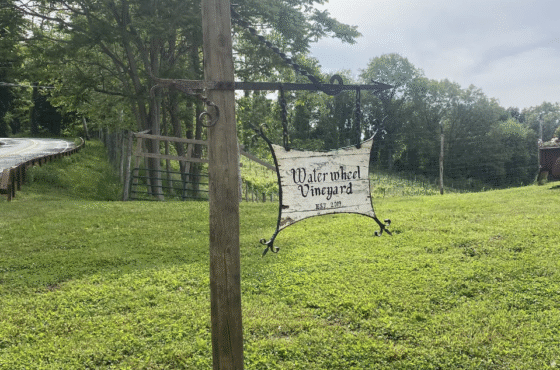 The Waterwheel Vineyard