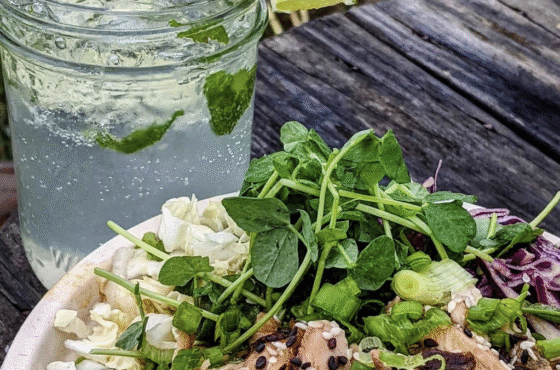 The Greenhouse Cidery