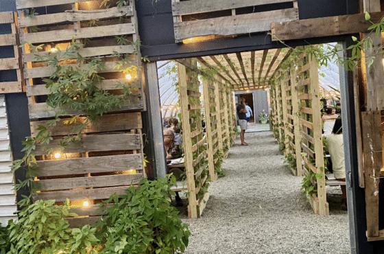 The Greenhouse Cidery