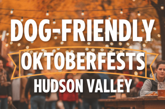 Dog-Friendly Oktoberfest Celebrations in the Hudson Valley!