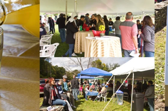 Old-Fashioned Cider Tasting