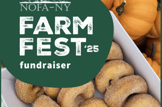 Farm Fest with NOFA-NY