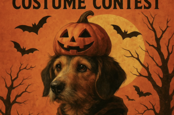 Halloween Dog Costume Contest
