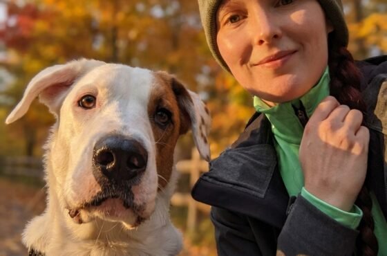 Build Core Memories with your dog: How to Make 2026 Unforgettable with Pawsitive Spots 🐾