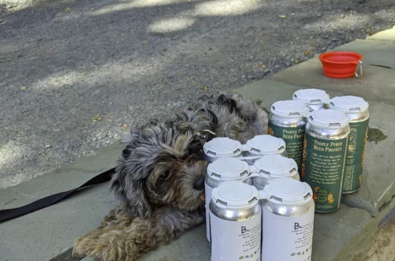 West Kill Brewing