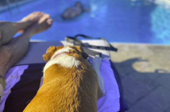 Bernetta's Place Inn by the Lake