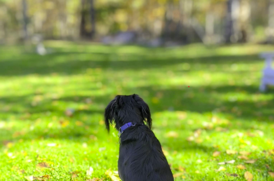 Bernetta's Place Inn by the Lake