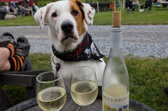 Millbrook Vineyards & Winery