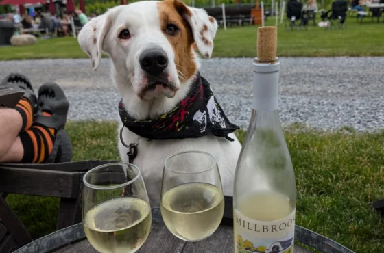 Millbrook Vineyards & Winery