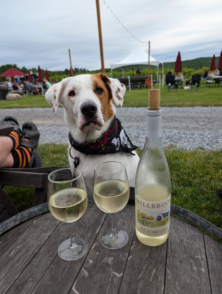 10 Dog-Friendly Wineries in the Hudson Valley