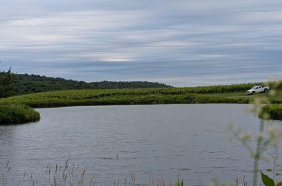 Millbrook Vineyards & Winery