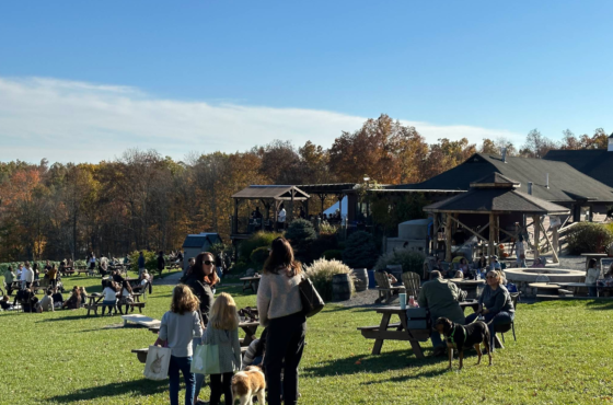 Robibero Winery