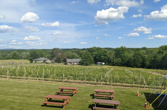 Robibero Winery