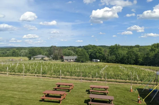 Robibero Winery